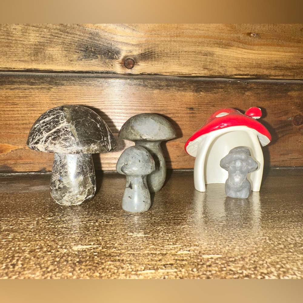Labradorite Mushroom Goddess and mushies